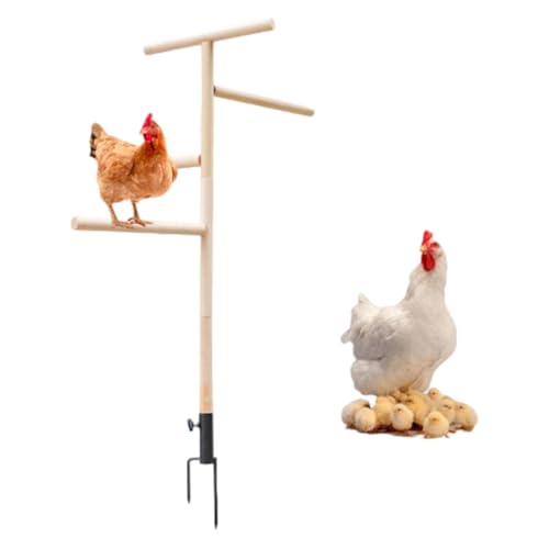 Loyimioo Hühner-Sitzstange, stabile Leiter, 4-stöckige Sitzplattformen, Holzständer für neugieriges Picken, Geflügel, Hahn, Küken, Vogel, Papageienruhe, Kletterschaukel mit Metall-Bodenstopfen für Loyimioo Hühner-Sitzstange, stabile Leiter, 4-stöckige Sitzplattformen, Holzständer für neugieriges Picken, Geflügel, Hahn, Küken, Vogel, Papageienruhe, Kletterschaukel mit Metall-Bodenstopfen für von loyimioo