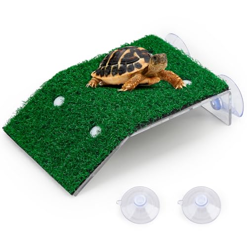 Schildkröten-Rampe, Klettertank, Leiter, Terrasse, Zubehör, Reptilien-Lebensraum mit Saugnapf, Fisch-Aquarium, Landschaftsbau, schwimmende Dekoration (Bär bis zu 1 kg), 19,5 x 12 x 4 cm, M von ltteea