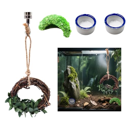 4er Set Springspinne Gehege Zubehör Springspinne Zubehör Gehege Lebensraum Dekor 2 Wasserschale 1 Rattan Schaukel 1 Little Green Hide 4er Set Springspinne Gehege Zubehör Springspinne Zubehör Gehege Lebensraum Dekor 2 Wasserschale 1 Rattan Schaukel 1 Little Green Hide von luchike