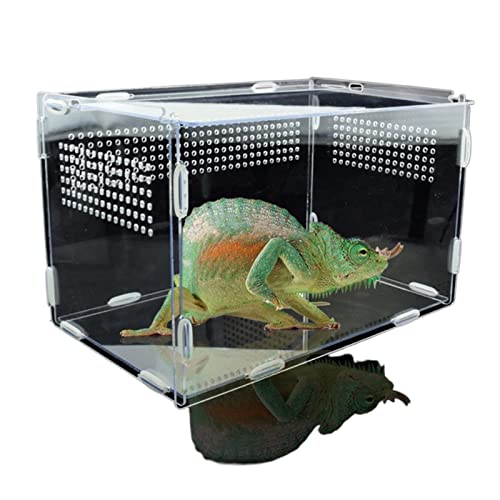 Aquarium Schildkröten/Aquarien Brutbox transparent Reptilienzuchtbox Insekten Beobachtungsbox Spinne Eidechse Igel Zuchtinkubator Terrarium Schildkröte (Color : 28X18X18cm) von luckxuan