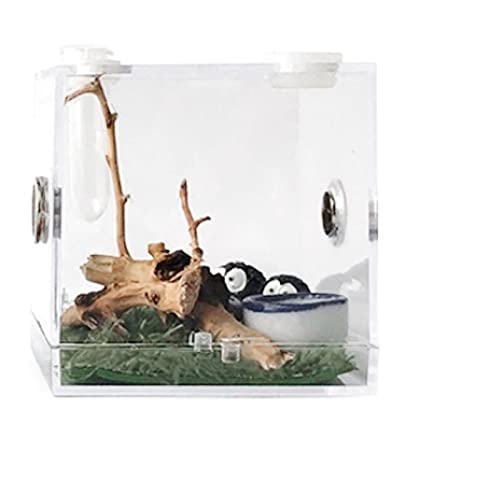 Aquarium Schildkröten/Aquarien Futterbox Kleine Reptilien Zuchtbox Transparenter Acrylkäfig Lebensraum Insektenfutterbox Futterbox for Spinnen Terrarium Schildkröte (Color : Large) von luckxuan