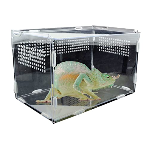 Aquarium Schildkröten/Aquarien Futterbox Reptilienzuchtbox Transparent Acryl Reptilienbox Spinnen Eidechsen Grillen Futterbox Terrarium Schildkröte (Color : Large) von luckxuan