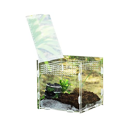 Aquarium Schildkröten/Aquarien Futterbox transparente Reptilien-Zuchtbox Acryl-Futterbox 360 Grad transparente Pet Crawl Box Terrarium Schildkröte (Color : 15x15x15CM) von luckxuan