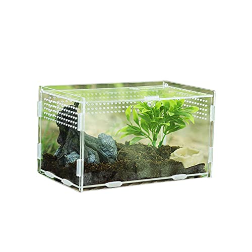 Aquarium Schildkröten/Aquarien Futterbox transparente Reptilien-Zuchtbox Acryl-Futterbox 360 Grad transparente Pet Crawl Box Terrarium Schildkröte (Color : 20x12x12CM) von luckxuan