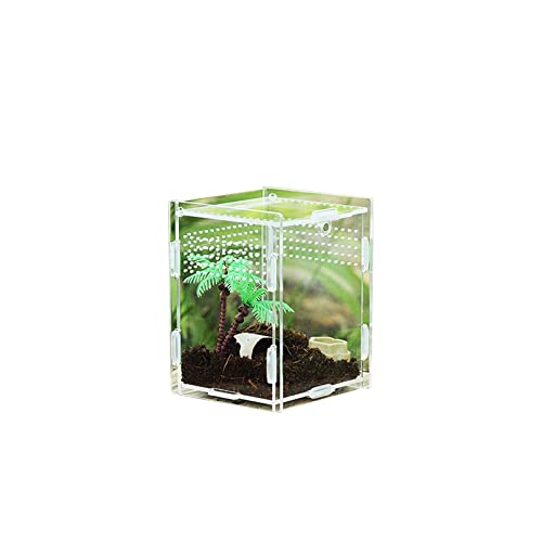Aquarium Schildkröten/Aquarien Futterbox transparente Reptilien-Zuchtbox Acryl-Futterbox 360 Grad transparente Pet Crawl Box Terrarium Schildkröte (Color : 7x8x10CM) von luckxuan