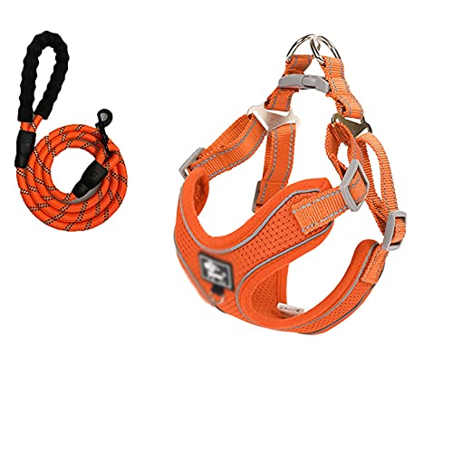 Dog Leash/Hundeleinen Starke Hundeleine for große Hunde mittelgroße Hunde-Starke reflektierende schwere Hunde-Seil-Leine mit weicher gepolstertem Anti-Rutsch-Griff Hunde Leine (Size : M) von luckxuan