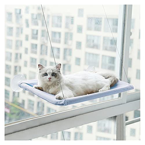 Hängematten/Katzen Hängematte Katzenfenster Perch Hängemattenfenster montiertes Katzenbett, Katze ruhender Sitz, hängen schlafendes Bett Haustier Hängematte (Color : Blauw) von luckxuan