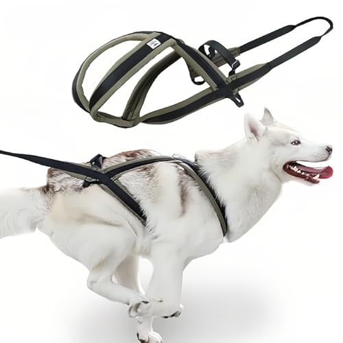 Professionelles Schlitten-Hundegeschirr zum Laufen, Gewichtheben und Canicross – Multifunktions-Trainingsausrüstung mit Rollschlitten Anpassungsfähigkeit (M) von lvhrmi