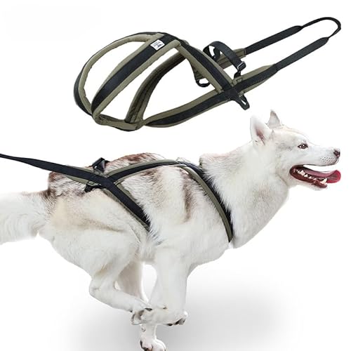 Professionelles Schlitten-Hundegeschirr zum Laufen, Gewichtheben und Canicross – Multifunktions-Trainingsausrüstung mit Rollschlitten Anpassungsfähigkeit (M) von lvhrmi