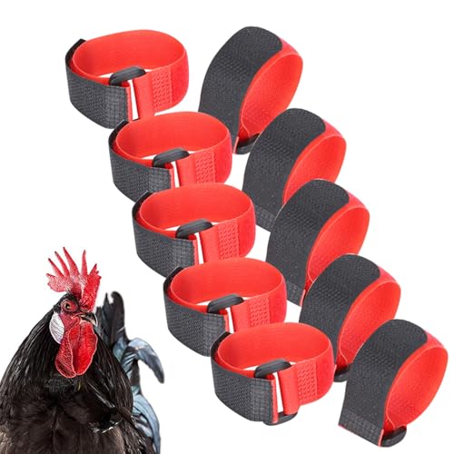 5 Beutel Hahn-Geräusch-Halsband, Hühnerversorgung, Nylonhalsband, Anti-Haken-Hahn, verstellbare Haken und Schlaufen, Halsband, Haustier-Hühnerversorgung 5 Beutel Hahn-Geräusch-Halsband, Hühnerversorgung, Nylonhalsband, Anti-Haken-Hahn, verstellbare Haken und Schlaufen, Halsband, Haustier-Hühnerversorgung von lvifloae