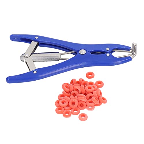Animal Castration Kit Kunststoff Kastrationsband Anwendung Werkzeug Blutloser Tier Elastomer 100 rote Gummibänder für Schafziegen Lämmerkälber und andere Viehzucht geeignet Animal Castration Kit Kunststoff Kastrationsband Anwendung Werkzeug Blutloser Tier Elastomer 100 rote Gummibänder für Schafziegen Lämmerkälber und andere Viehzucht geeignet von lvifloae