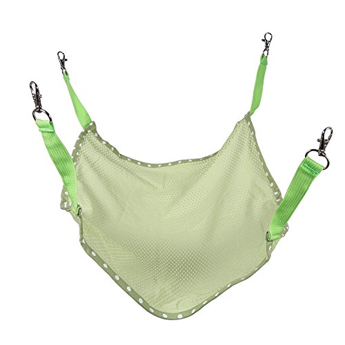 Frühlings- und Sommerkatze atmungsaktives Mesh Hängematte Pet Cat Cage Hängematte tragbare schnelle Trocknungsklamme Weiche Kissen Sitz Hanging Kätzchen Welpe Frettchen Tier (Grün) von lvifloae