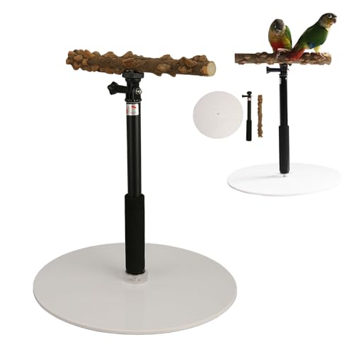 Vogelsitzständer aus Holz, Verstellbarer Vogelständer, tragbar, Abnehmbarer Papageienspielständer, Papageienspielplatz für Reisen im Innen- und Außenbereich Vogelsitzständer aus Holz, Verstellbarer Vogelständer, tragbar, Abnehmbarer Papageienspielständer, Papageienspielplatz für Reisen im Innen- und Außenbereich von lvifloae