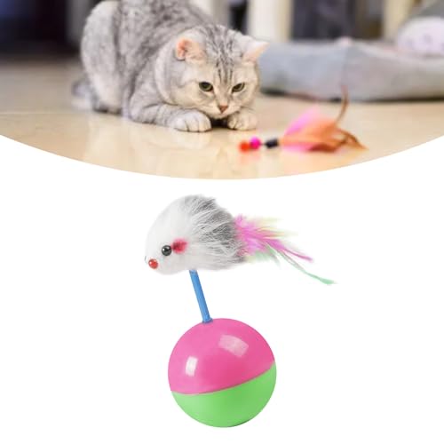 lvifloae Katze Maus Teaser Spielzeug mit Feder Wackelkopf Interaktives Ballspielzeug Rolling Chase Ball Interaktiv für Kätzchen Spielen Übung Unterhaltung Katzenspielzeug Indoor lvifloae Katze Maus Teaser Spielzeug mit Feder Wackelkopf Interaktives Ballspielzeug Rolling Chase Ball Interaktiv für Kätzchen Spielen Übung Unterhaltung Katzenspielzeug Indoor von lvifloae