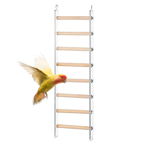 Papageienleiter, Käfigkletterspielzeug, Vogelperchzubehör, interaktives Trainingendesign, rotierende Hakenbefestigung, Holzfarbe, ideal für kleine und mittlere Vögel verwenden Papageienleiter, Käfigkletterspielzeug, Vogelperchzubehör, interaktives Trainingendesign, rotierende Hakenbefestigung, Holzfarbe, ideal für kleine und mittlere Vögel verwenden von lwxij