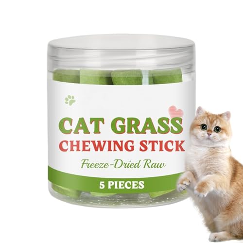 lwxij Katzengras Beißstab, Kätzchen-Kauleckerlis, Haarball-Entlastungs-Snack, organische Inhaltsstoffe, beruhigende Wirkung, Verbesserung der Zahngesundheit, 1 Glas, ideal für Zuhause und Reisen lwxij Katzengras Beißstab, Kätzchen-Kauleckerlis, Haarball-Entlastungs-Snack, organische Inhaltsstoffe, beruhigende Wirkung, Verbesserung der Zahngesundheit, 1 Glas, ideal für Zuhause und Reisen von lwxij