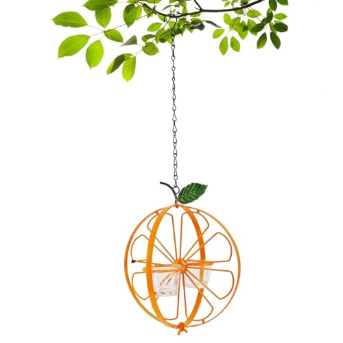 Lyanny Outdoor Vogelfutterleiter, Orange Fruchtvogel Fütterungsstation, Außengarten Metall Hängende Trinkgelee Container Kolibri Feeder für Zweige, Balkone, Garten von lyanny