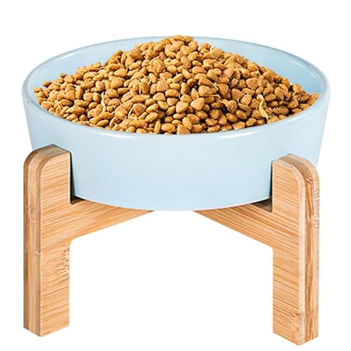 lyanny Erhöhter Katzennapf aus Keramik, erhöhter langsamer Futternapf für Katzen, Katzenfutter-Wassernäpfe mit Ständer, rutschfester Katzen-Puzzle-Futterspender für Katzen und Kätzchen im Innenbereich von lyanny