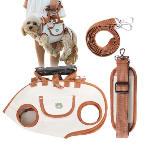lyanny Ganzkörper-Geschirr Für Hunde | Hundegeschirr Mit Griff Zum Tragen | Einstellbarer Träger für Welpen Kätzchen klein mittel Camping Outdoor Reisen Radfahren Picknick von lyanny