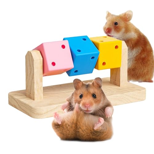 lyanny Hamster-Holzblöcke, Hamster-Kauwürfel | Hamster-Kauspielzeug für Zähne - Bisssicheres, Handwerkliches, natürliches Hamster-Kauspielzeug für kleine Haustiere, Chinchillas, Kaninchen von lyanny