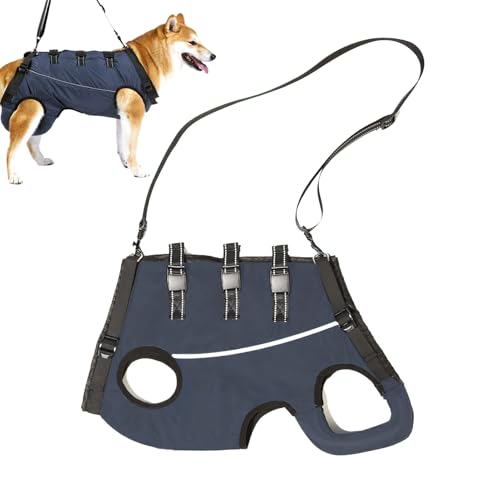 lyanny Hundestützgurt - Hundehebegurt, Unterstützungs- & Rekonvaleszenzgurt | Verstellbare Gehhilfe für Hunde mit Schwäche in den Hinterbeinen, Senioren, Behinderungen & Verletzungen lyanny Hundestützgurt - Hundehebegurt, Unterstützungs- & Rekonvaleszenzgurt | Verstellbare Gehhilfe für Hunde mit Schwäche in den Hinterbeinen, Senioren, Behinderungen & Verletzungen von lyanny