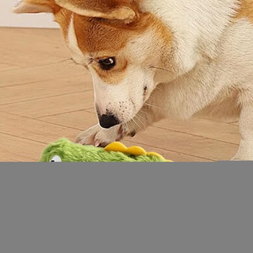 lyanny Plüsch Hundespielzeug - Quietschendes Hundeleckerli Spielzeug In Krokodilform Mit Echtdetail Nachbildung - Realistische Interaktive Kauspielzeuge Für Zahnung Und Training Zu Hause Park Garten lyanny Plüsch Hundespielzeug - Quietschendes Hundeleckerli Spielzeug In Krokodilform Mit Echtdetail Nachbildung - Realistische Interaktive Kauspielzeuge Für Zahnung Und Training Zu Hause Park Garten von lyanny