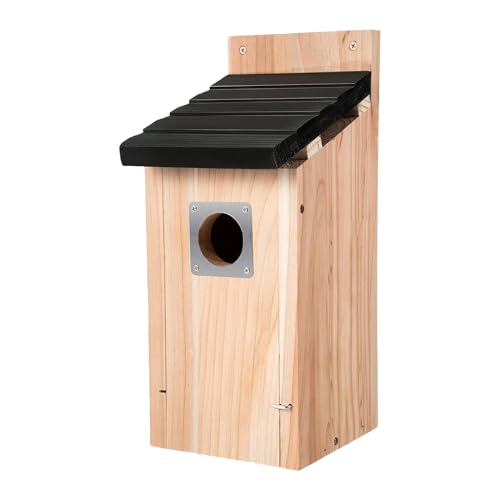 lyanny Vogelnest, Naturholz Aufhängbarer Vogel Unterschlupf, Holz Vogelnest Wasserdicht Natürliche Dekoration Garten Baum Terrasse lyanny Vogelnest, Naturholz Aufhängbarer Vogel Unterschlupf, Holz Vogelnest Wasserdicht Natürliche Dekoration Garten Baum Terrasse von lyanny