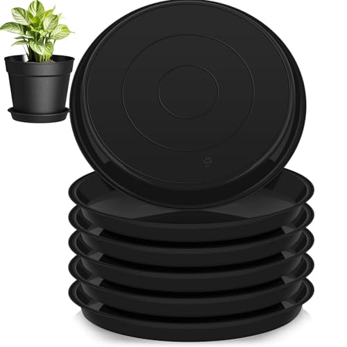 lylqmy 10 Stück Blumentopf Untersetzer,Untersetzer für Blumentöpfe,Rund Pflanzentopf Untertasse,Kunststoff Blumenuntersetzer für Innen- und Außenpflanzen - 16cm/Schwarz (Schwarz, 6inch) von lylqmy