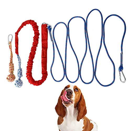Leine für Welpen, Haustier-Trainingsleine, widerstandsfähiges interaktives Hundeseil, Hundetrainingsleine für Outdoor, Camping, Innenbereich, kleine und große Hunde Leine für Welpen, Haustier-Trainingsleine, widerstandsfähiges interaktives Hundeseil, Hundetrainingsleine für Outdoor, Camping, Innenbereich, kleine und große Hunde von macto