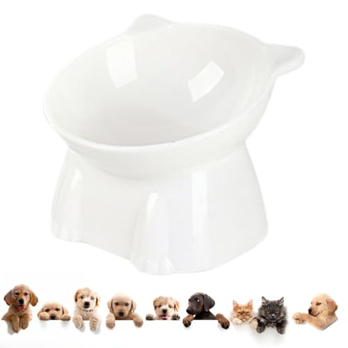 Futternäpfe für Haustiere, langlebig, 120 g, Katzenfutter, Schalen für Hunde- und Katzenfutter, leicht zu reinigen, flaches Pe Katzenfutter, einfach zu tragen, um L zu verhindern Futternäpfe für Haustiere, langlebig, 120 g, Katzenfutter, Schalen für Hunde- und Katzenfutter, leicht zu reinigen, flaches Pe Katzenfutter, einfach zu tragen, um L zu verhindern von maddd