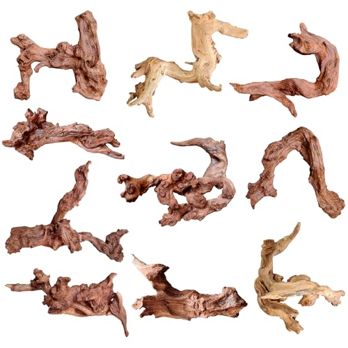 majoywoo Natürliches kleines Treibholz für Aquarium-Dekoration, Reptilien-Dekoration, sortiert, Treibholzzweig, 5,1–11,4 cm, 10 Stück, Aquarium-Dekorationen majoywoo Natürliches kleines Treibholz für Aquarium-Dekoration, Reptilien-Dekoration, sortiert, Treibholzzweig, 5,1–11,4 cm, 10 Stück, Aquarium-Dekorationen von majoywoo