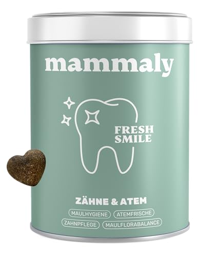 10-in-1 Zahnpflege Leckerli für Hunde - Fresh Smile 60 Snacks (175g) von mammaly - Gegen Mundgeruch, Zahnstein mit Pfefferminz, Seealge, Vitamin C, Petersilie u. v. m. für Maulhygiene, Mundpflege von mammaly