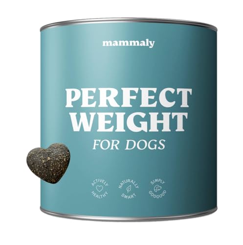 11-in-1 L-Carnitin & Cellulose Leckerli für übergewichtige Hunde aller Rassen - Perfect Weight 270 Snacks (325g) von mammaly - Diätfutter für Deinen Hund zum Abnehmen - Futterzellulose bei Übergewicht von mammaly