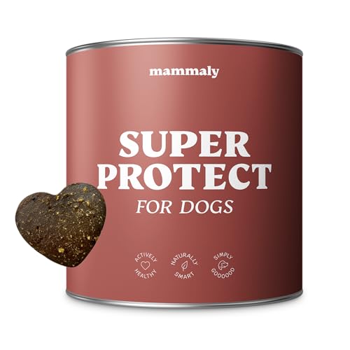 12 in 1 Bierhefe Leckerli für deinen Hund - Super Protect 110 Snacks (325g) von mammaly - mit u. a. Schwarzkümmelöl, Kokosöl und Vitamin B1 für Hautpflege - Stärkt Haut - Hunde sorgenfrei in der Natur von mammaly