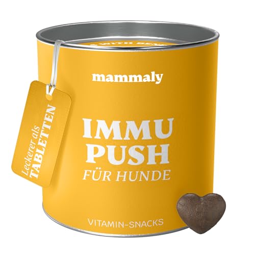 mammaly® Immu Push Snack, Nahrungsergänzungsmittel Hund, Nahrungsergänzungen & Vitamine für Hunde, Snack Vitamin Komplex für Hund, unterstützt die körpereigenen Abwehrkräfte, 325g (1 xDose) von mammaly