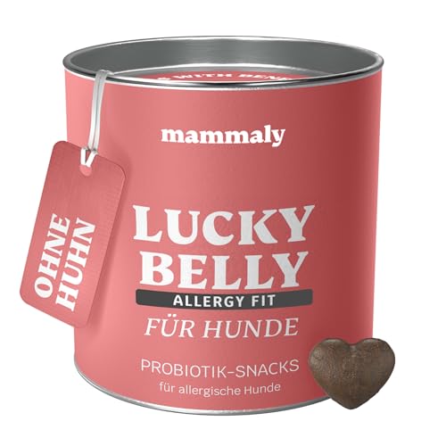 mammaly Lucky Belly Allergy Fit, Lucky Belly für Hunde ohne Huhn, Probiotika Hund, Verdauungssnack für Hunde getreidefrei, Heilmoor, Hund Darmflora aufbauen 325g (1 x Dose) von mammaly