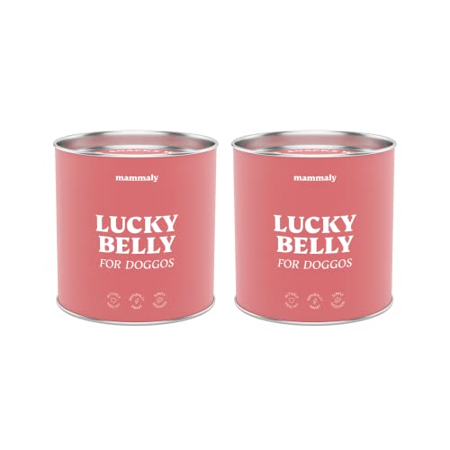 mammaly 2X Sparpaket Lucky Belly Probiotika Hundeleckerli (650g) Verdauungssnacks Magen Darmflora Aufbau (bei Durchfall, Sodbrennen & Gras fressen) Alternative zu Heilerde, Kohletabletten als Snacks von mammaly