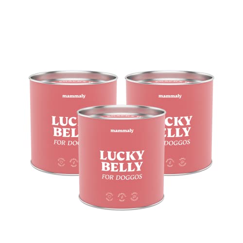 mammaly Lucky Belly für Hunde Verdauungssnacks mit Probiotika Hund, Heilmoor für Hunde, Besser als Heilerde, Hund Darmflora aufbauen, Flohsamenschalen Hund, Probiotic 975g (3 x Dose) von mammaly