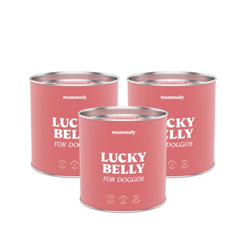 mammaly 3X Sparpaket Lucky Belly Probiotika Hundeleckerli (975g) Verdauungssnacks Magen Darmflora Aufbau (bei Durchfall, Sodbrennen & Gras fressen) Alternative zu Heilerde, Kohletabletten als Snacks von mammaly
