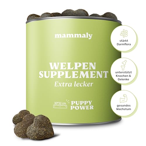 mammaly Puppy Power Welpen Leckerlies, Hunde Leckerlis aus Zutaten der Natur, für gesundes Wachstum und Entwicklung der Nervenfunktionen, Training Leckerli Hund, ca. 90 Snacks von mammaly