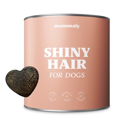 mammaly® Shiny Hair Fellpflege Hund, Snack gegen Juckreiz Hund, Fellpflege Ergänzungsfuttermittel, Omega3, Biotin Hund & Seealge gegen Haarausfall Hund, schöneres Hundefell, 325g (1 x Dose) von mammaly