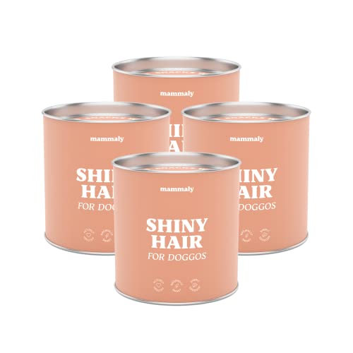 mammaly Shiny Hair 4X Super Sparpaket Fellpflege Hunde Snacks mit Bierhefe & Biotin - gegen Haarausfall & Juckreiz Hunde mit Probiotika – Vitamin C, E, D3, Beta-Carotin, Zink für glänzendes Fell von mammaly
