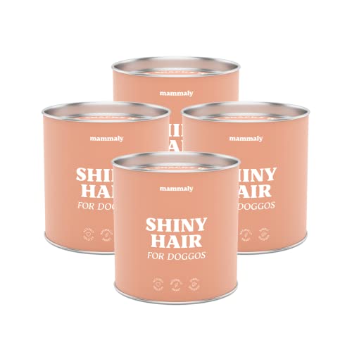 mammaly® für Hunde Shiny Hair Fellpflege Snack, leckere Alternative zu Bierhefe, Fellpflege Ergänzungsfuttermittel, Omega3, Biotin & Seealge gegen Haarausfall, schöneres Hundefell, ca. 360 Snacks von mammaly