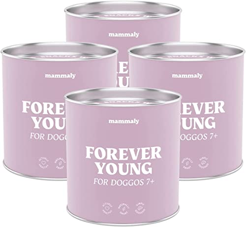 mammaly 4X Super-Sparpaket Forever Young für alte Hunde - Grünlippmuschel Vital-Komplex mit Ginko + Mineralstoffe + Kurkuma - Gelenktabletten Vitalität & Magen Darm mit Bierhefe & Probiotika mammaly 4X Super-Sparpaket Forever Young für alte Hunde - Grünlippmuschel Vital-Komplex mit Ginko + Mineralstoffe + Kurkuma - Gelenktabletten Vitalität & Magen Darm mit Bierhefe & Probiotika von mammaly