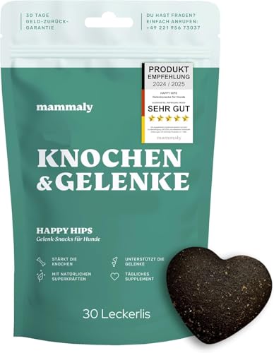 mammaly Grünlippmuschel Hunde Leckerli Happy HIPS Test Set (110g) Gelenktabletten mit Probiotika für Hunde (unterstützt Arthrose-, Gelenk- & Knochenschutz) Kapseln MSM & Vitamie als leckere Snacks von mammaly
