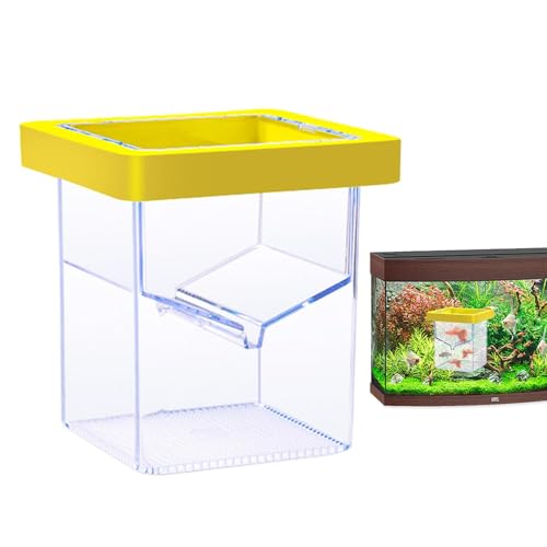 manhegari Aquarium-Züchterbox | Züchter-Isolations-Trennwand – Aquarium-Zubehör, Saugnapf-Schlüpfbehälter zum Isolieren, Akklimatieren oder Anheben manhegari Aquarium-Züchterbox | Züchter-Isolations-Trennwand – Aquarium-Zubehör, Saugnapf-Schlüpfbehälter zum Isolieren, Akklimatieren oder Anheben von manhegari