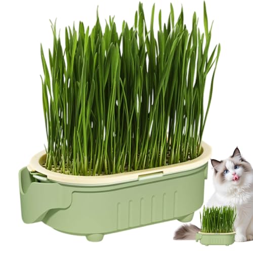 manhegari Hydrokultur-Katzen-Gras-Tablett für den Innenbereich, niedliche Elefantenform, bodenlose Bewässerung, hohler Behälter für Haustier-Snacks für Innenhof, Fensterbank von manhegari