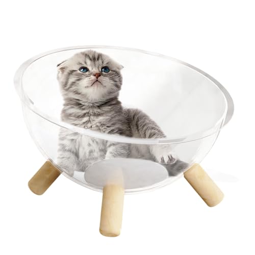 manhegari Kleines Katzenbett - Napf Bett Mit Holzgestell - Aktivitätszentrum Mit Transparentem Acrylhaus Für Schlafen, Entspannen Und Spielen Von & Welpen manhegari Kleines Katzenbett - Napf Bett Mit Holzgestell - Aktivitätszentrum Mit Transparentem Acrylhaus Für Schlafen, Entspannen Und Spielen Von & Welpen von manhegari
