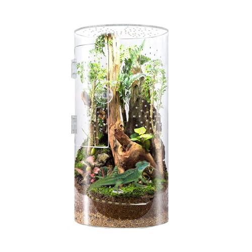 manhegari Springende Spinne Habitat, Acryl Betende Mantis Terrarium, Front Opening Door Waterproof Small Reptile Cage Habitat for Tarantula Snail von manhegari