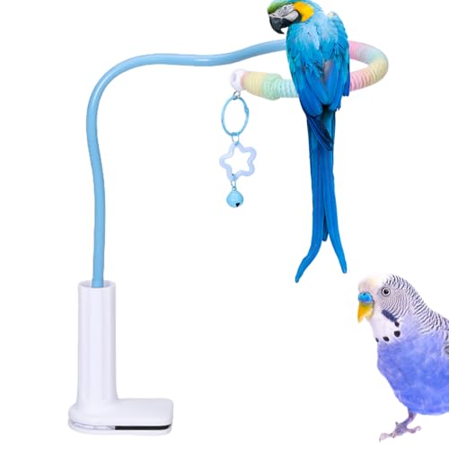 manhegari Vogel Spielplatz | Spielständer Mit Glocke,Nymphensittich Spielzeug mit Glocke, rutschfeste Trainingsaccessoires für Wellensittichkäfig & Innenspielbereich manhegari Vogel Spielplatz | Spielständer Mit Glocke,Nymphensittich Spielzeug mit Glocke, rutschfeste Trainingsaccessoires für Wellensittichkäfig & Innenspielbereich von manhegari